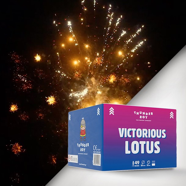 πακέτο-εναέριων-πυροτεχνημάτων-victorious-lotus-49-βολών Home Wine